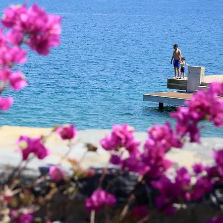 Willa Comfortable Aegean Sea *